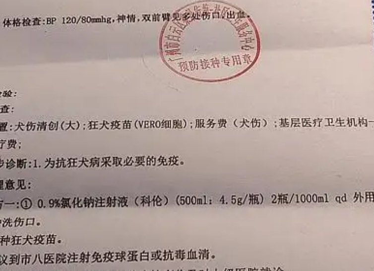 回顾:深圳男童被狗咬伤,父亲为护儿子将狗打死,狗主人:赔20万