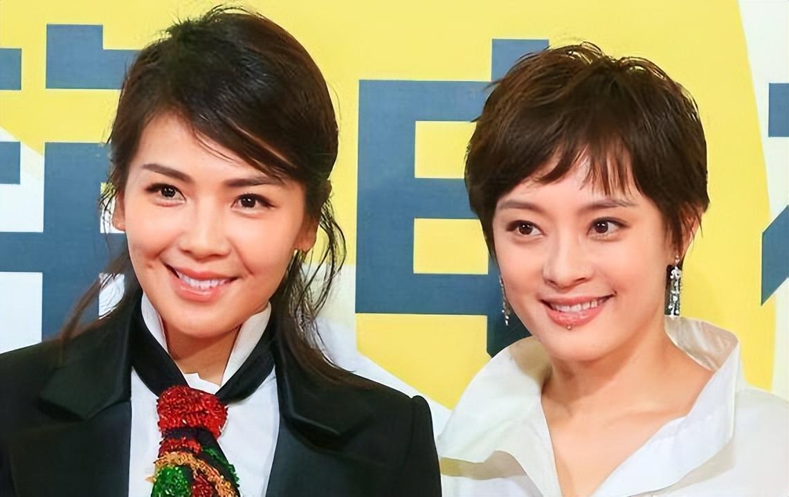 看了观众对孙俪的评价我才明白当年刘涛那番话的含金量