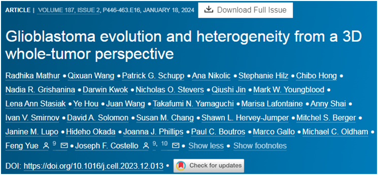 神经胶质细胞相关研究最新进展2024年3月