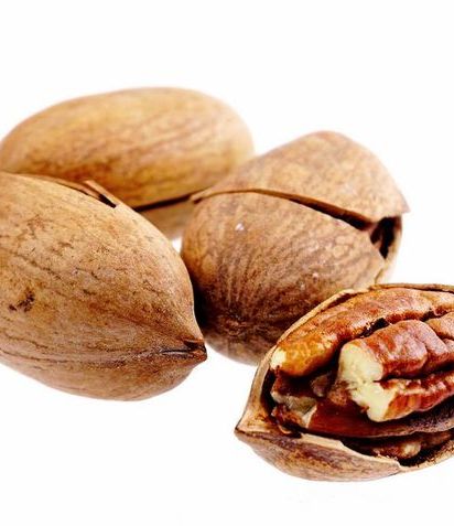 碧根果与山核桃,虽同为坚果却各具魅力!