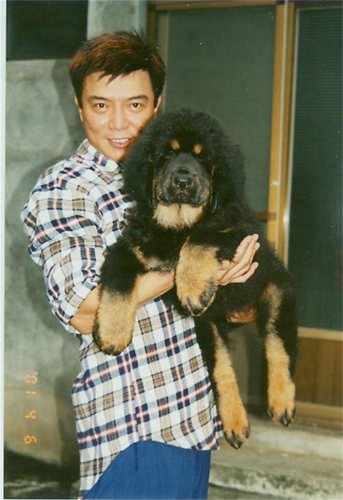 回顾张佩华我这辈子正确的决定就是娶了空姐生一儿一女