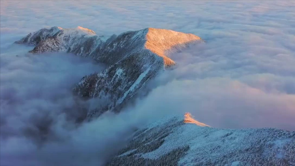 回顾5万人隐居终南山只为远离世俗红尘村民道出实情假的