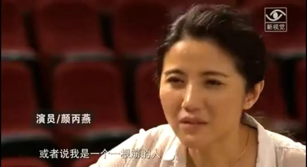 回顾万箭穿心颜丙燕为母亲息影8年与李乃文意难平仍单身