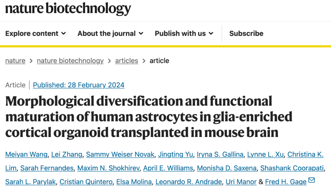 神经胶质细胞相关研究最新进展2024年3月