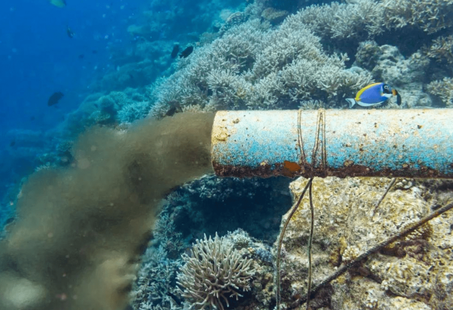 纪实:男子为了强身健体,连喝1400瓶核辐射水,死后30年