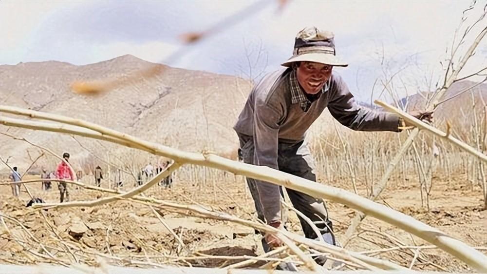 回顾四川包工头耗尽千万家产,赴宁夏沙漠种树20年,声称自己不图钱