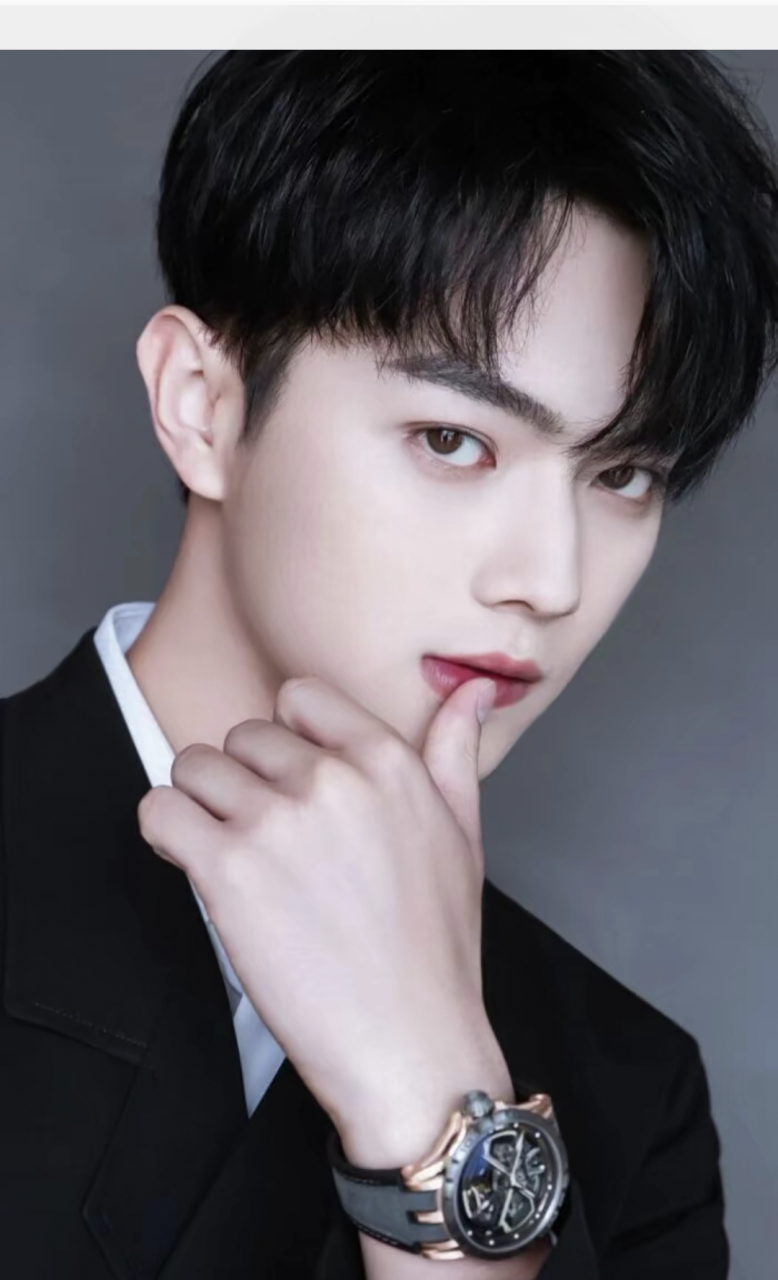 他凭借出色的演技和帅气的外貌赢得了众多粉丝的喜爱.