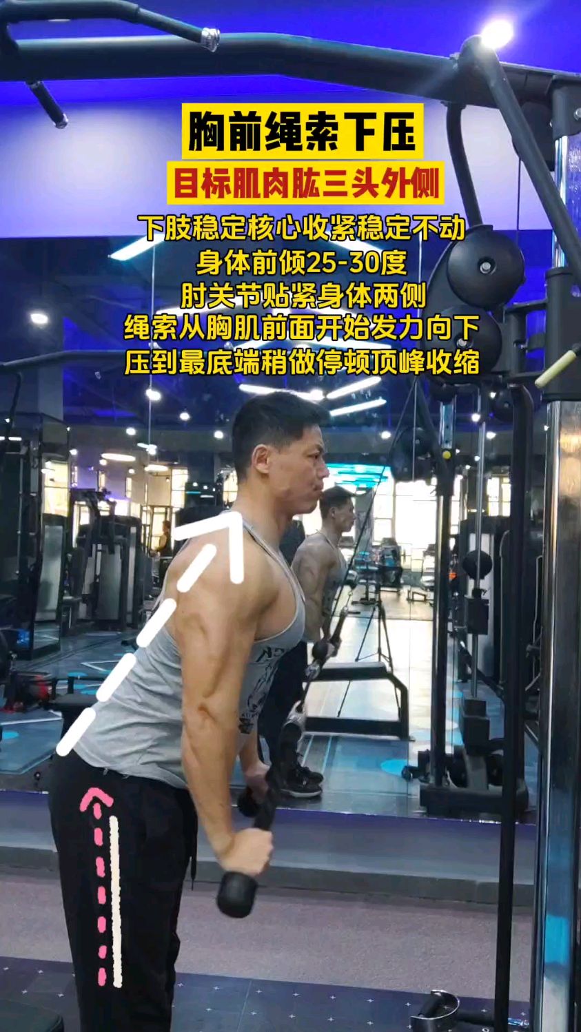 肱三头肌训练绳索下压