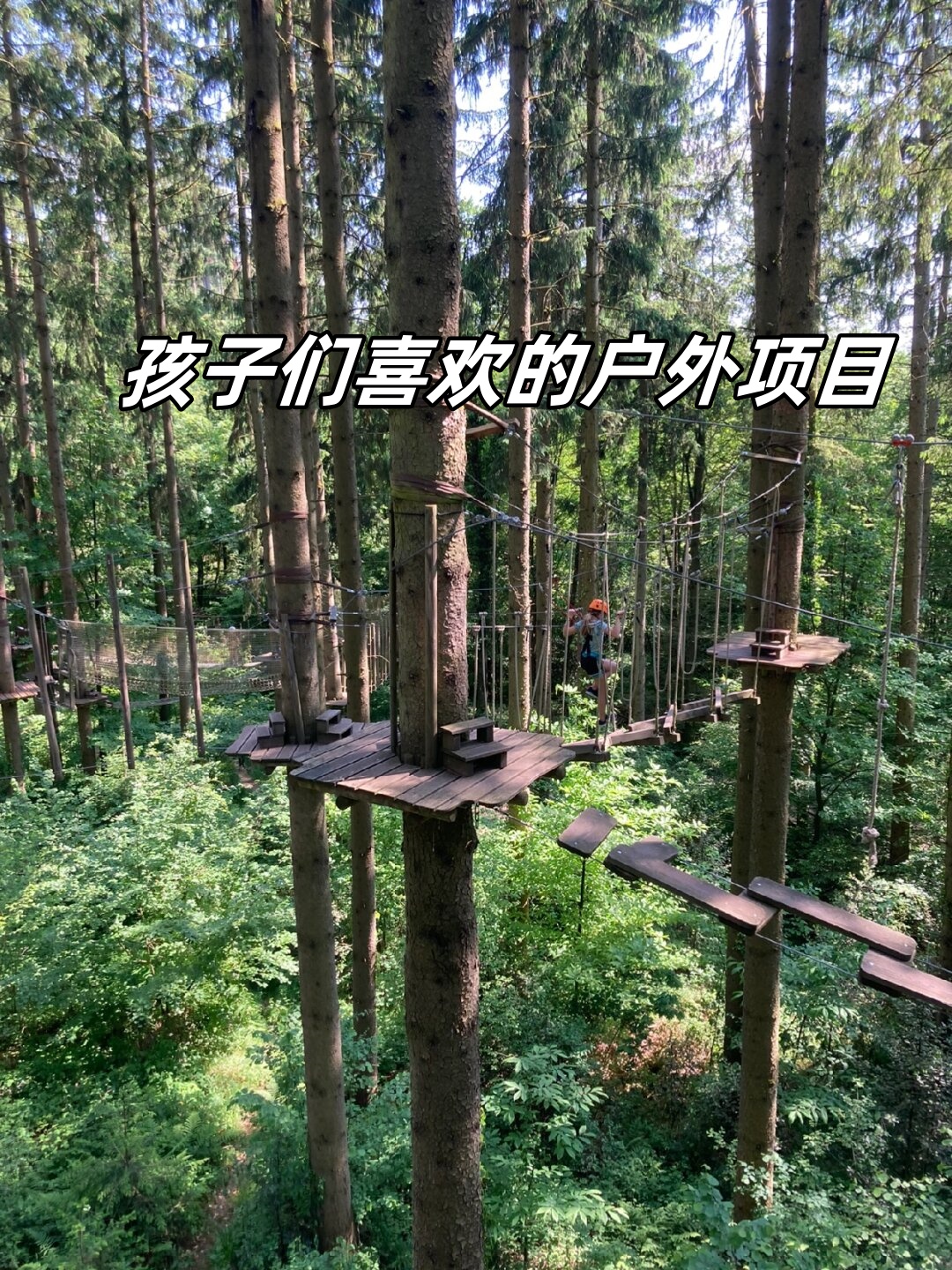项目  我家的小家伙们超爱的户外项目之一就是高空绳索公园high rope