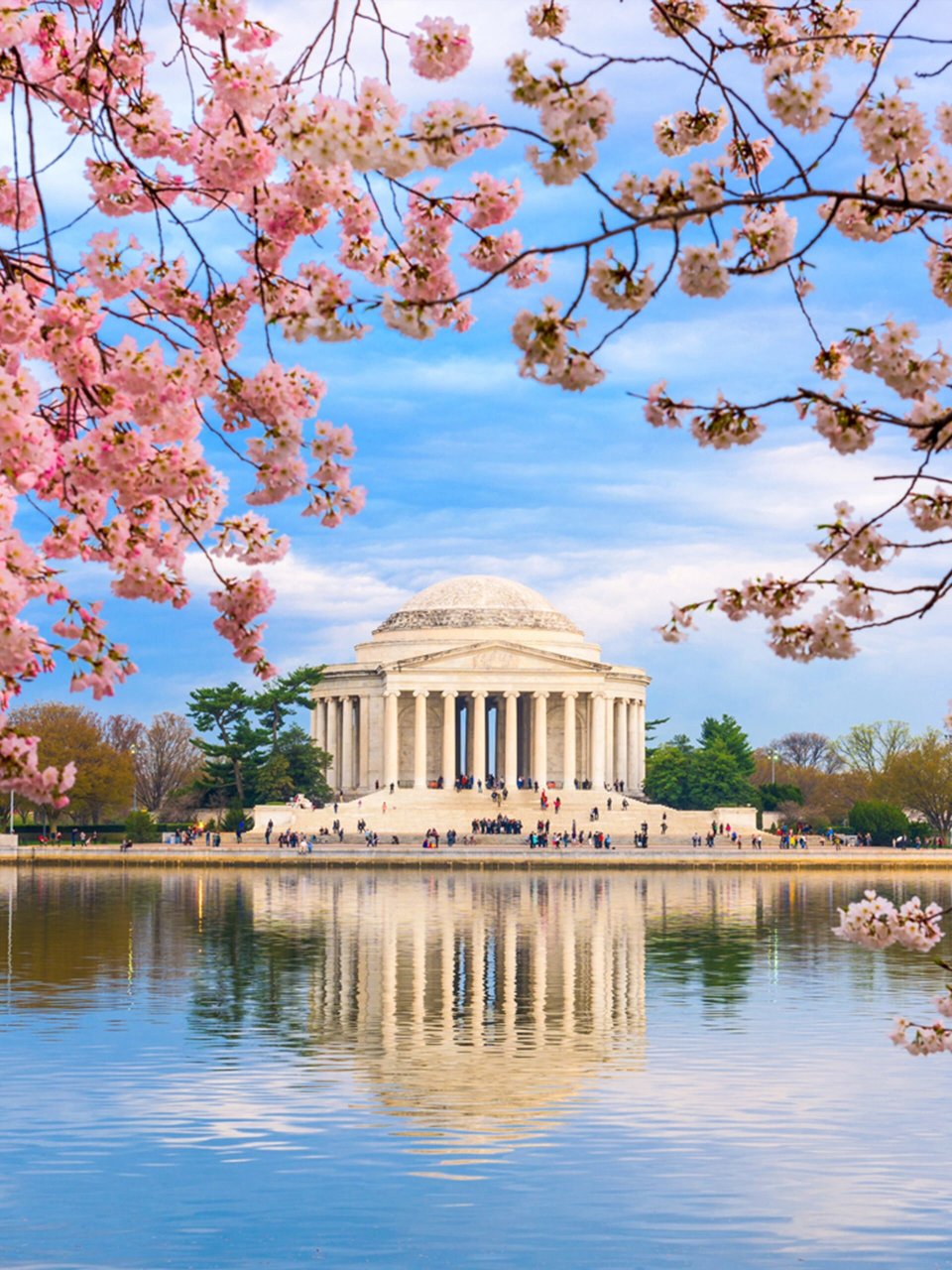 华盛顿 d.c.赏樱路线