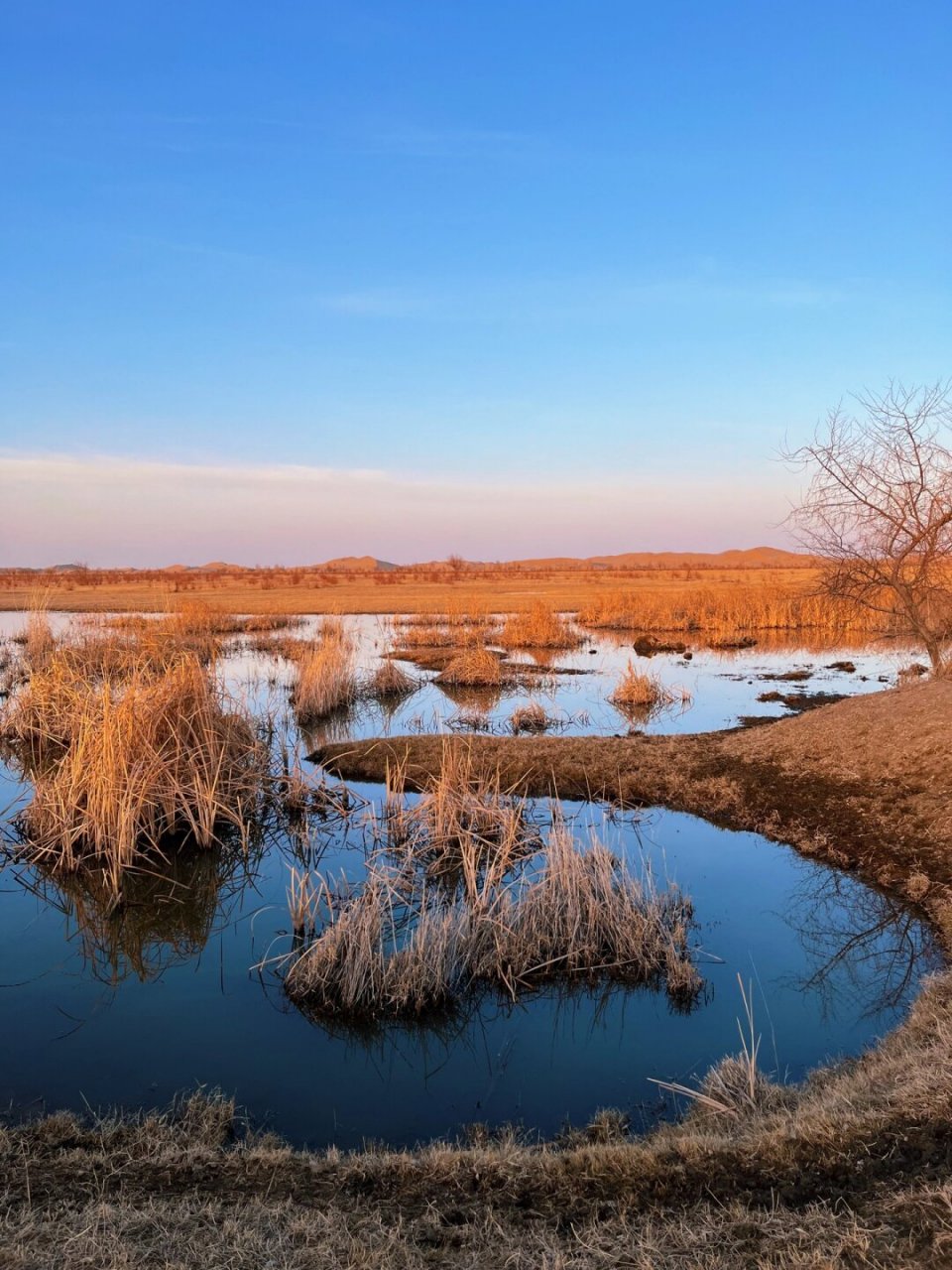 第三次徒步—库布齐沙漠30km  99从北京到包头,再到库布齐沙漠,每一