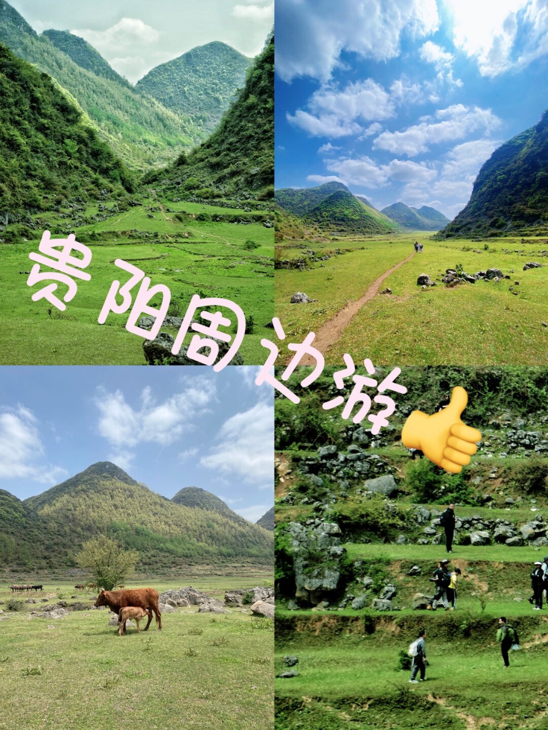徒步之旅终于踏上那片旖旎的草甸