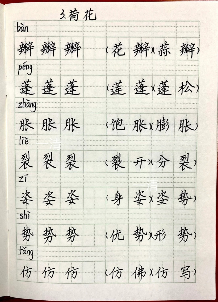 荷花三年级生字图片