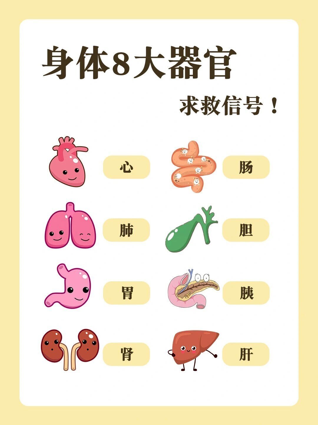人体八大器官求救信号,别等坏了再去养!