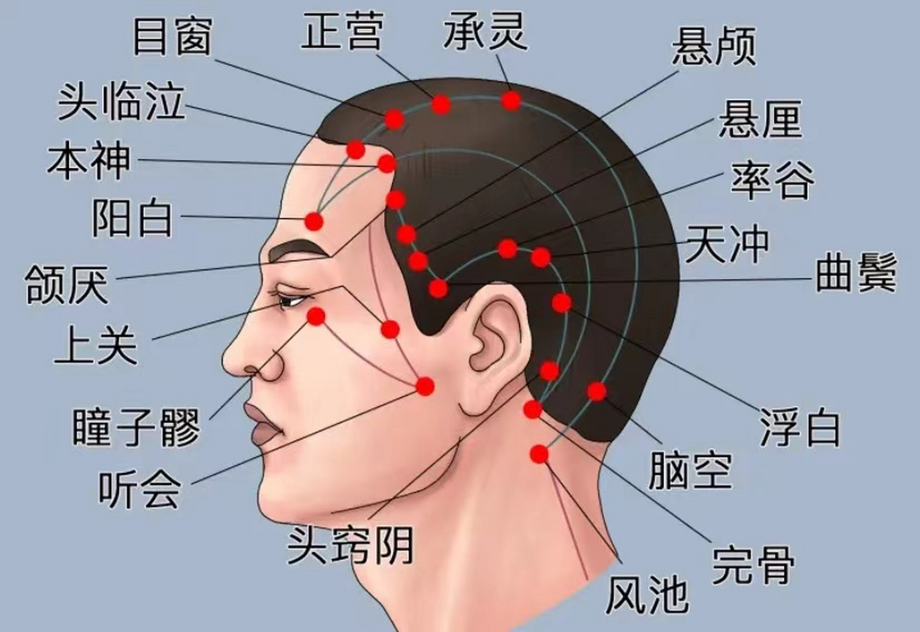 头疼按摩哪里最有效图片