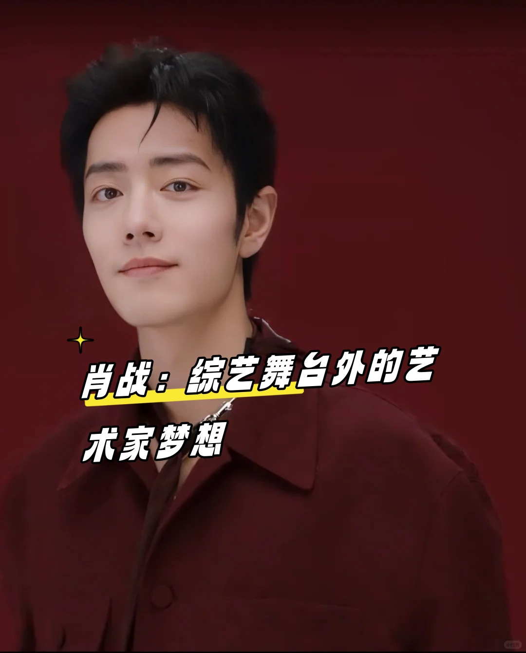 肖战:综艺舞台外的艺术家梦想