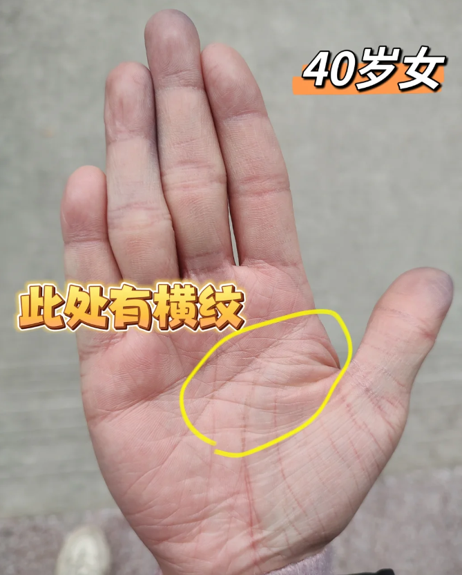 男士这个位置出现横纹,说明平时压力女人手相纹手中有田字纹的女人