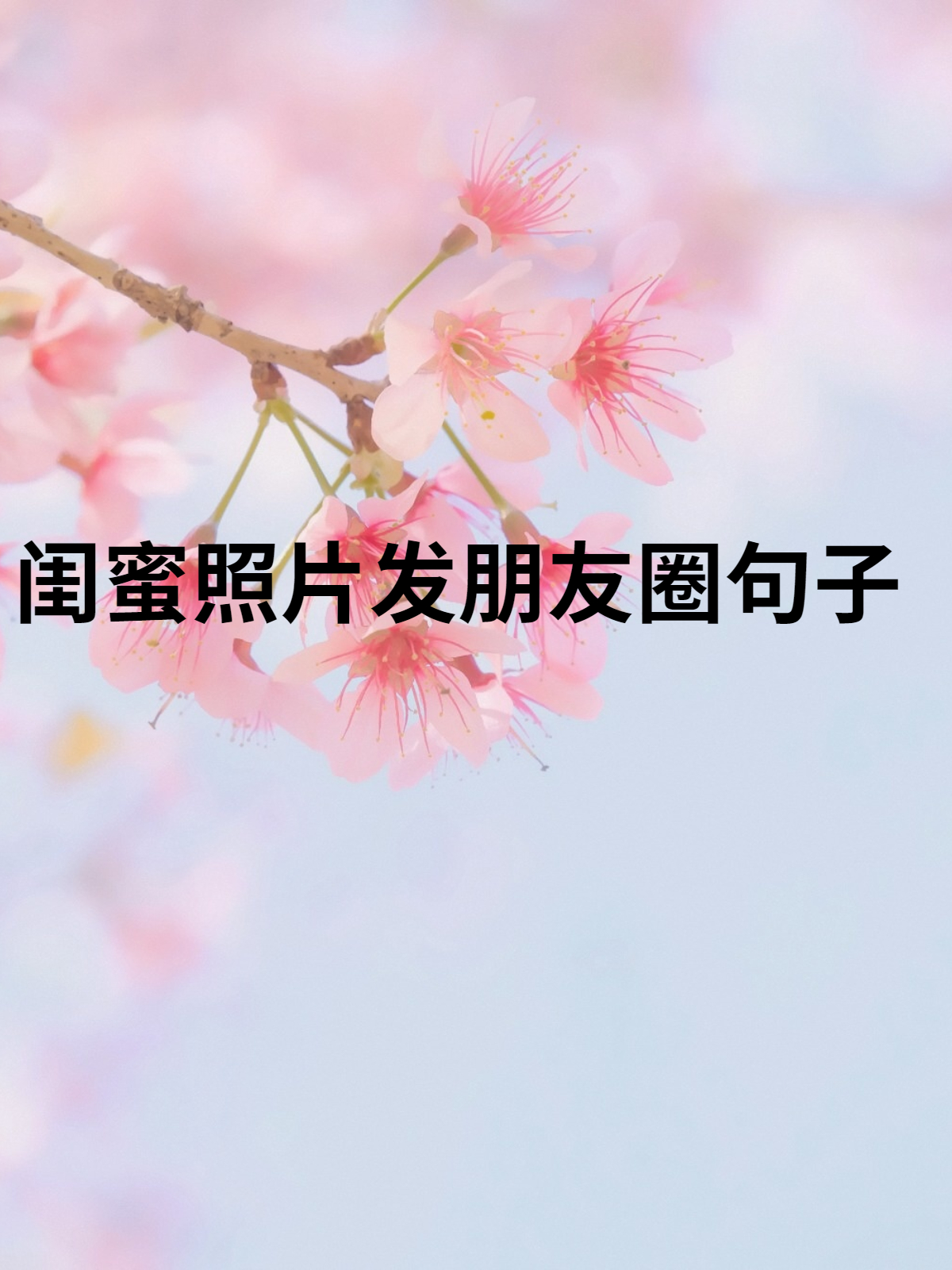 闺蜜照片发朋友圈句子