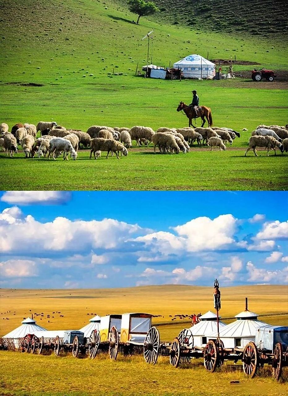 蒙古族  蒙古族,这个世居草原的民族,自古以来便与