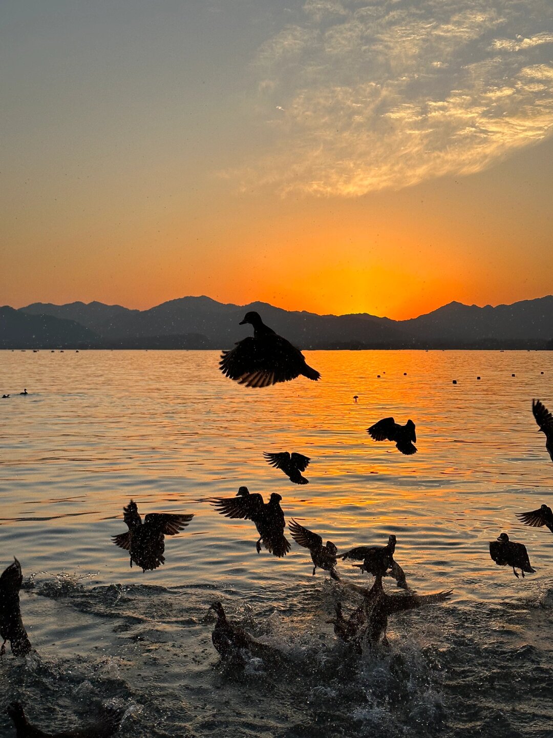 今天,我要为大家带来一组氛围感满满的日落壁纸,让夕阳的美丽陪伴你