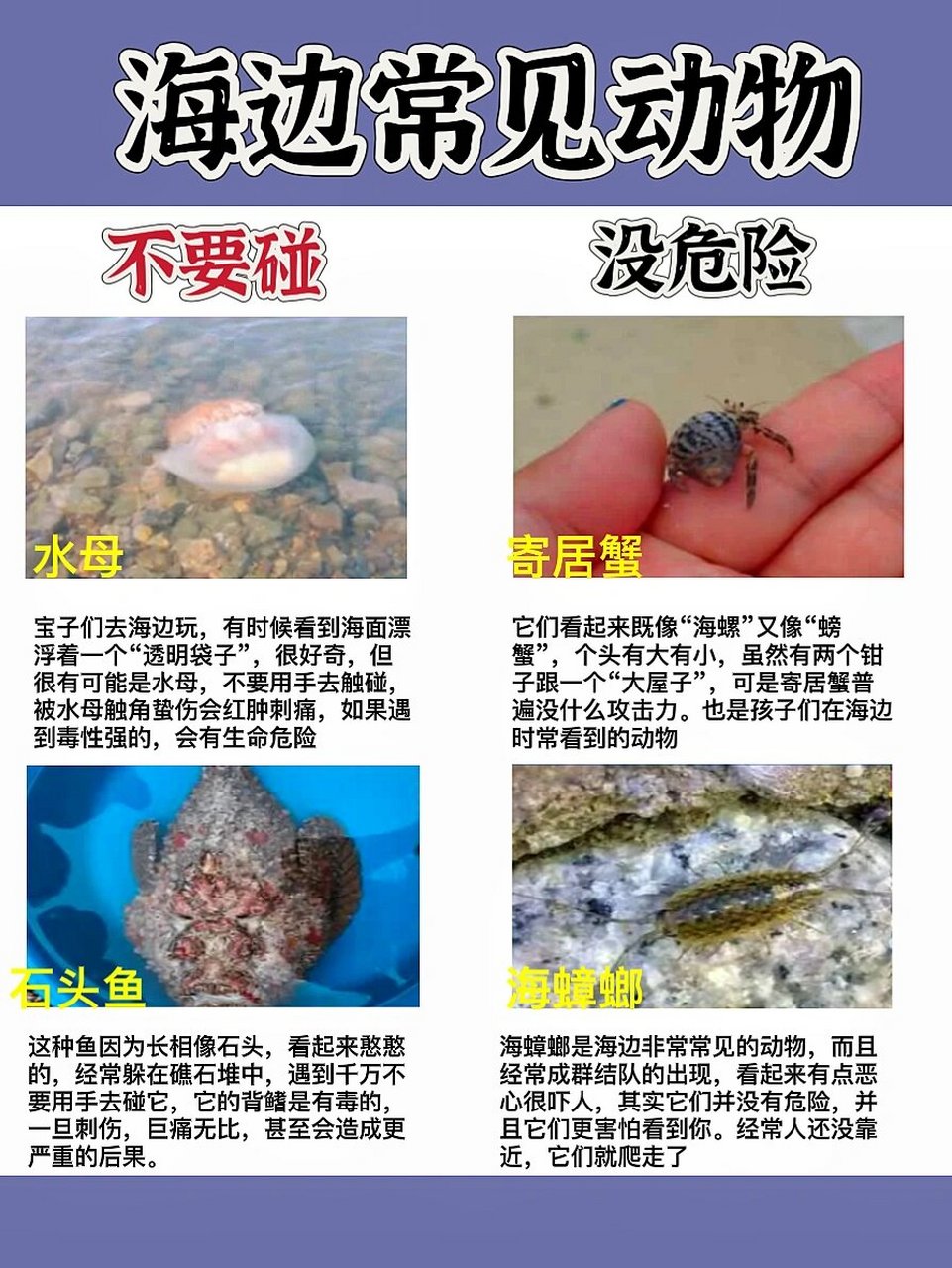 海边常见的海鲜图片