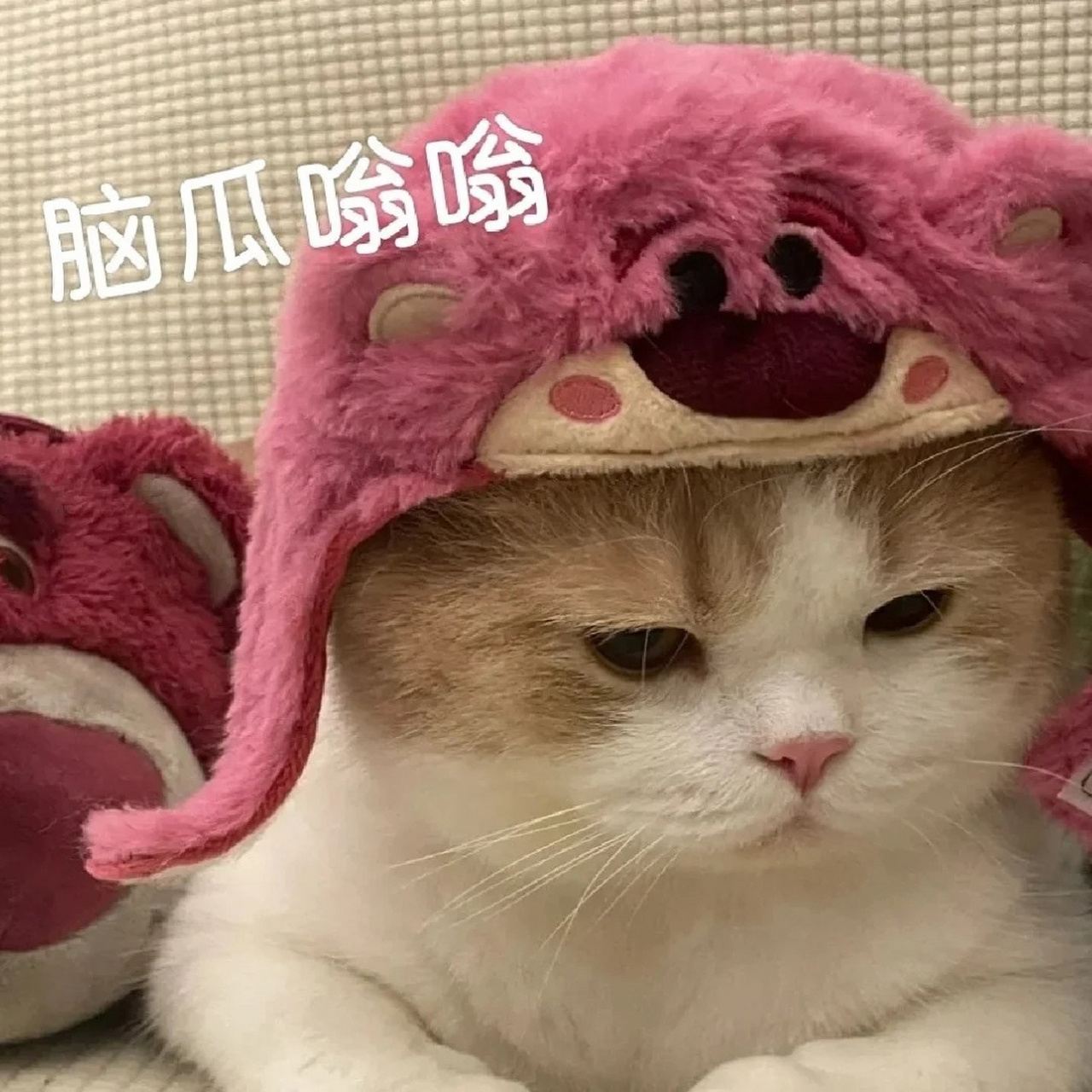 晕的图片 表情  🤔我晕得像是被施了魔法,整个人都变得萌萌哒.