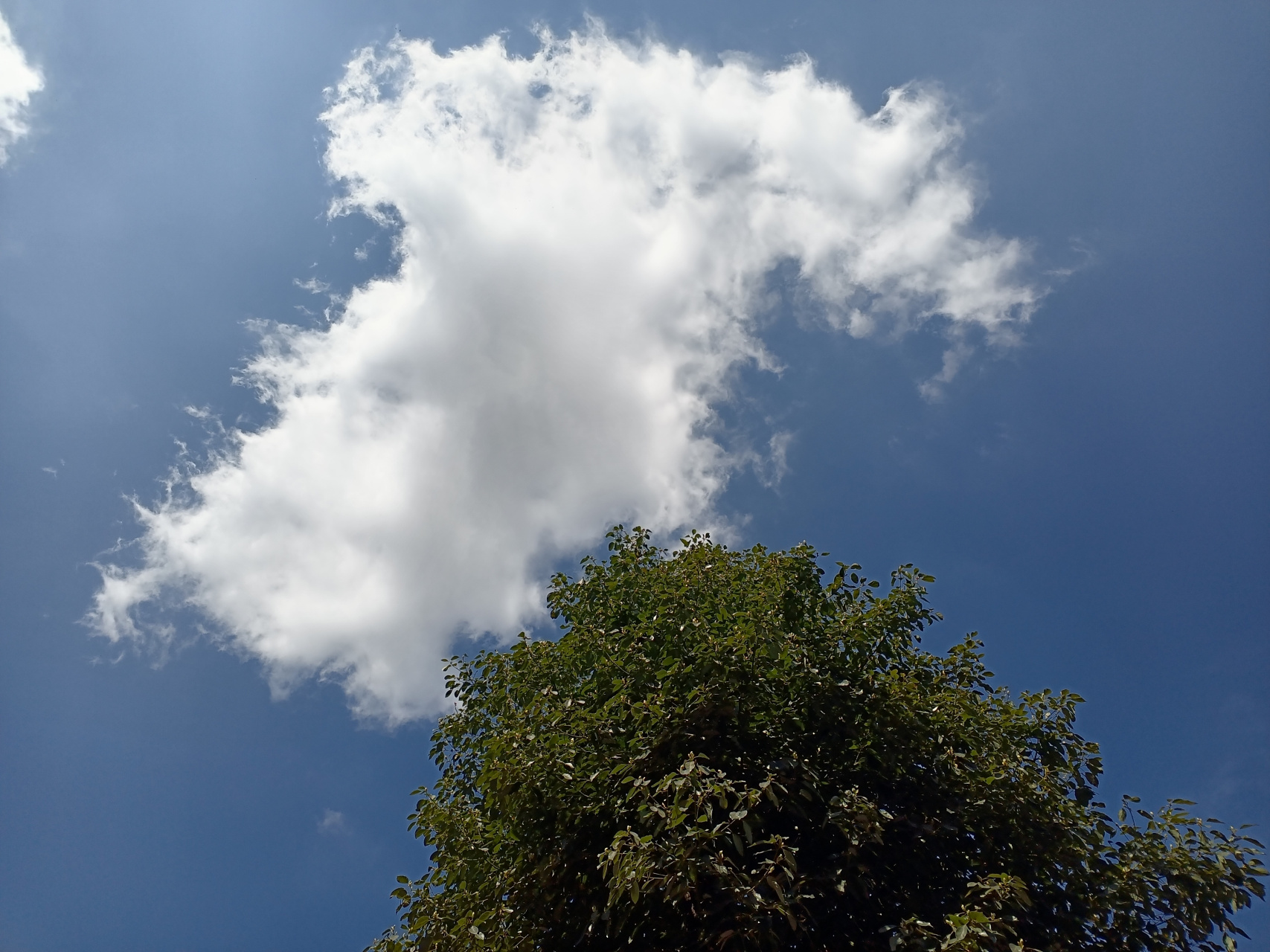 云淡风轻,随心而行,如果你心情不好,请走向大自然,拥抱万物吧