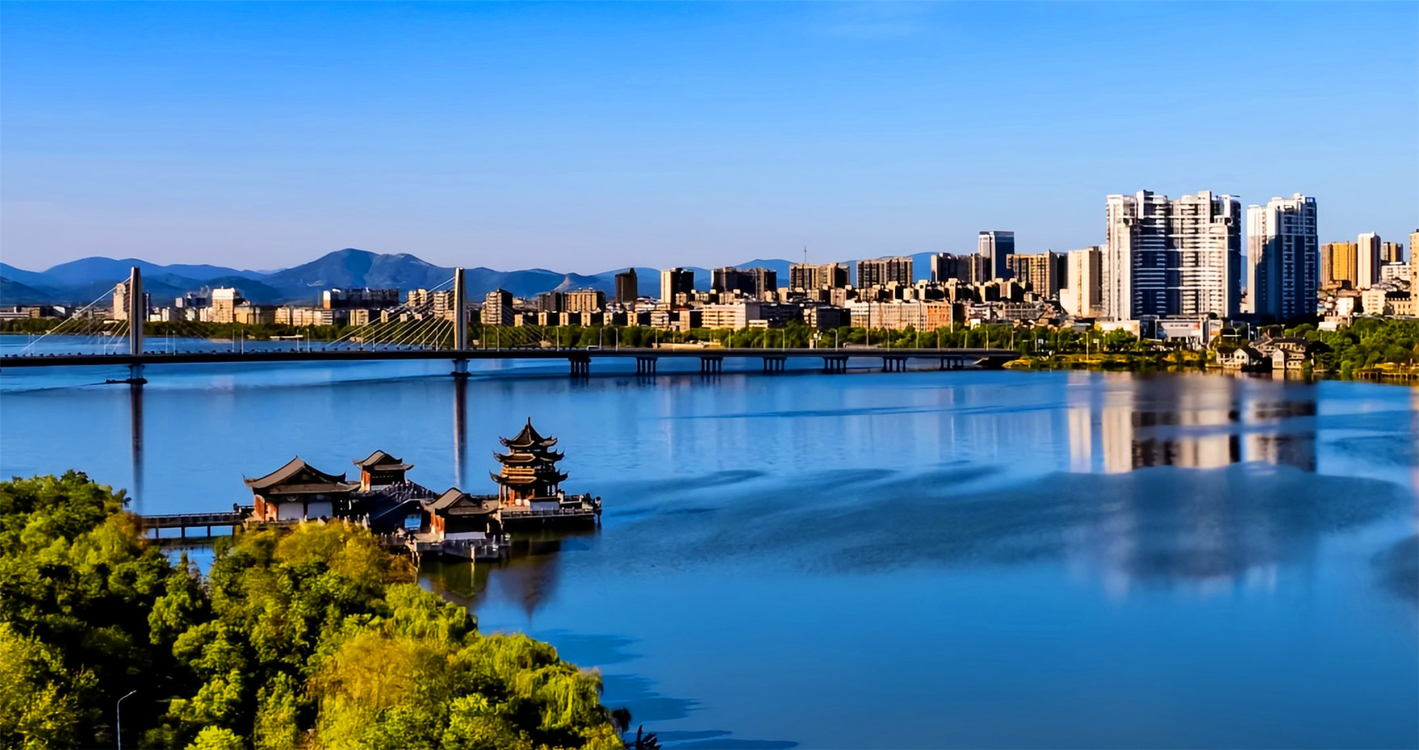 心灵的绿洲:阳新莲花湖国家湿地公园