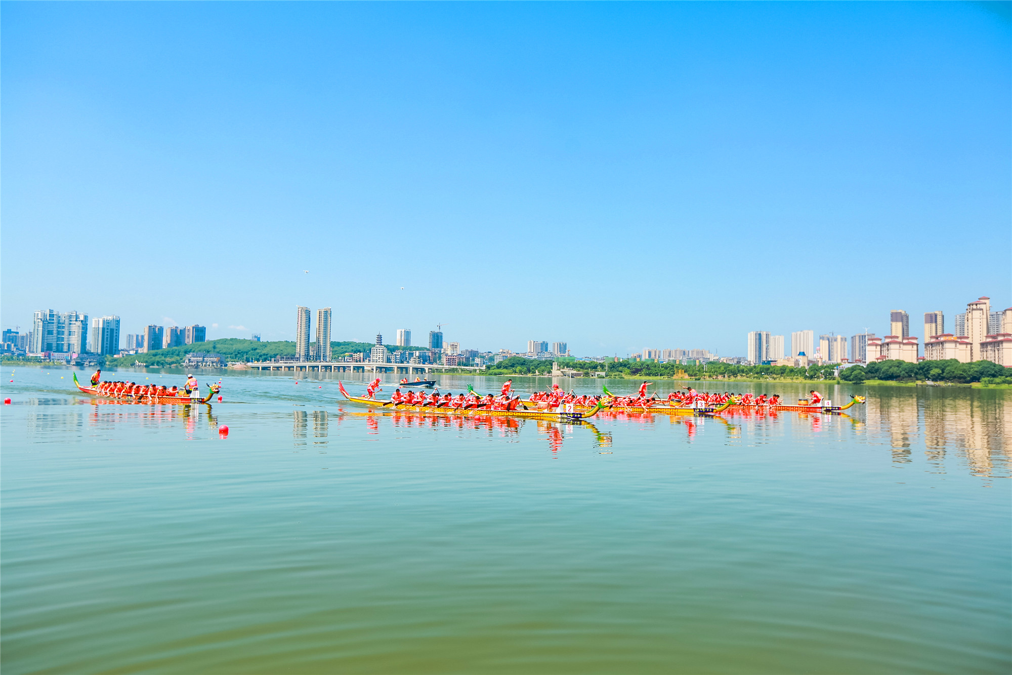 阳新莲花湖湿地公园图片