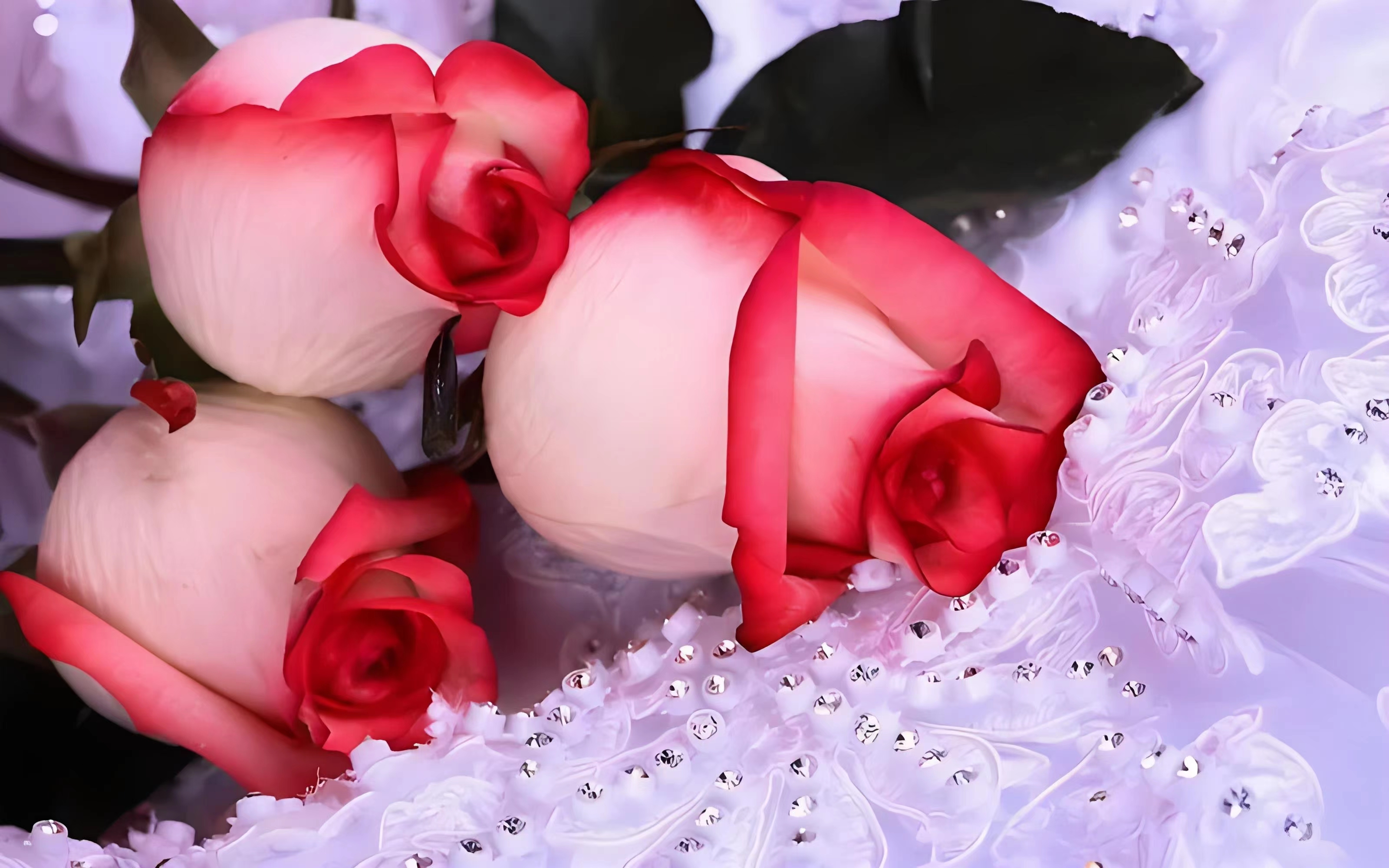 粉玫瑰花的花语,充满柔情和温馨