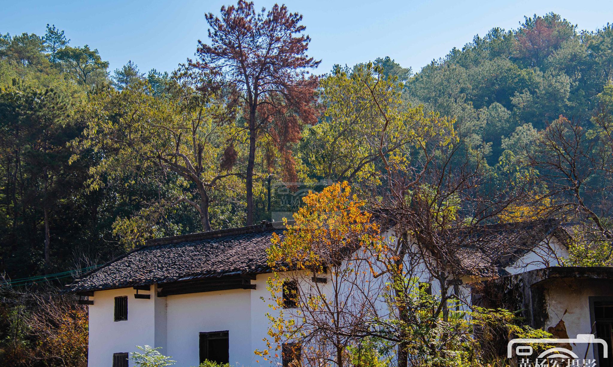 乡村背景图高清图片