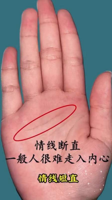 手握反抗纹不撞南墙不回头