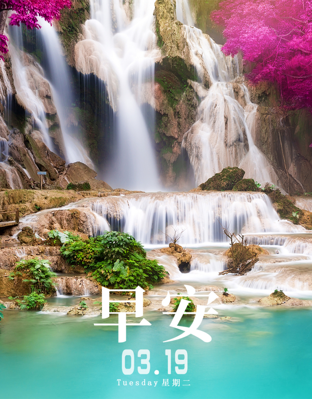 早上好#早安# #早安心语# 周末起不来 图就一起发了