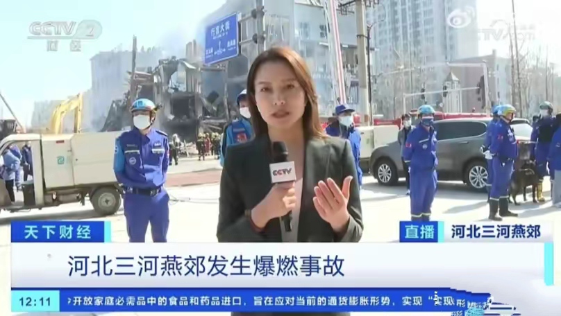 从杨海灵的读书与工作历程来看,她可谓是从平凡中脱颖而出,犹如一只