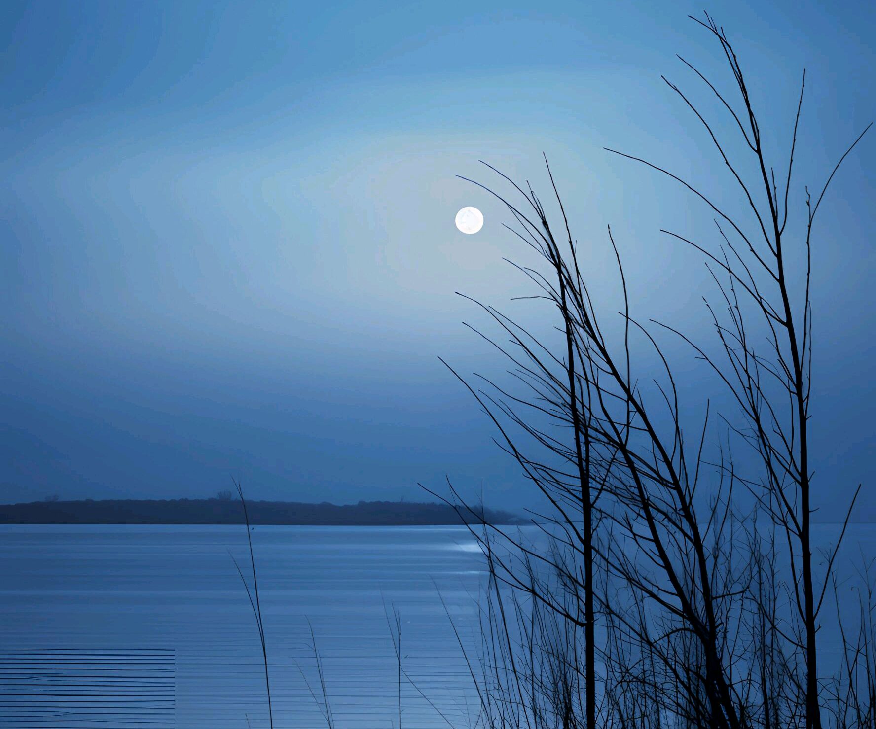 那些常读常新可以自我疗伤的话