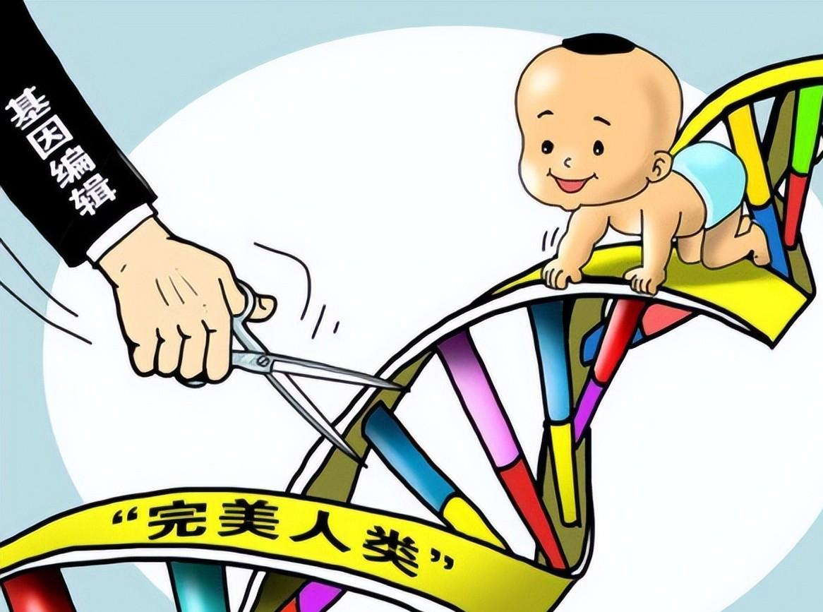 通过融合发展,进行一半一半的遗传,而这些被重新组合起来的遗传因子