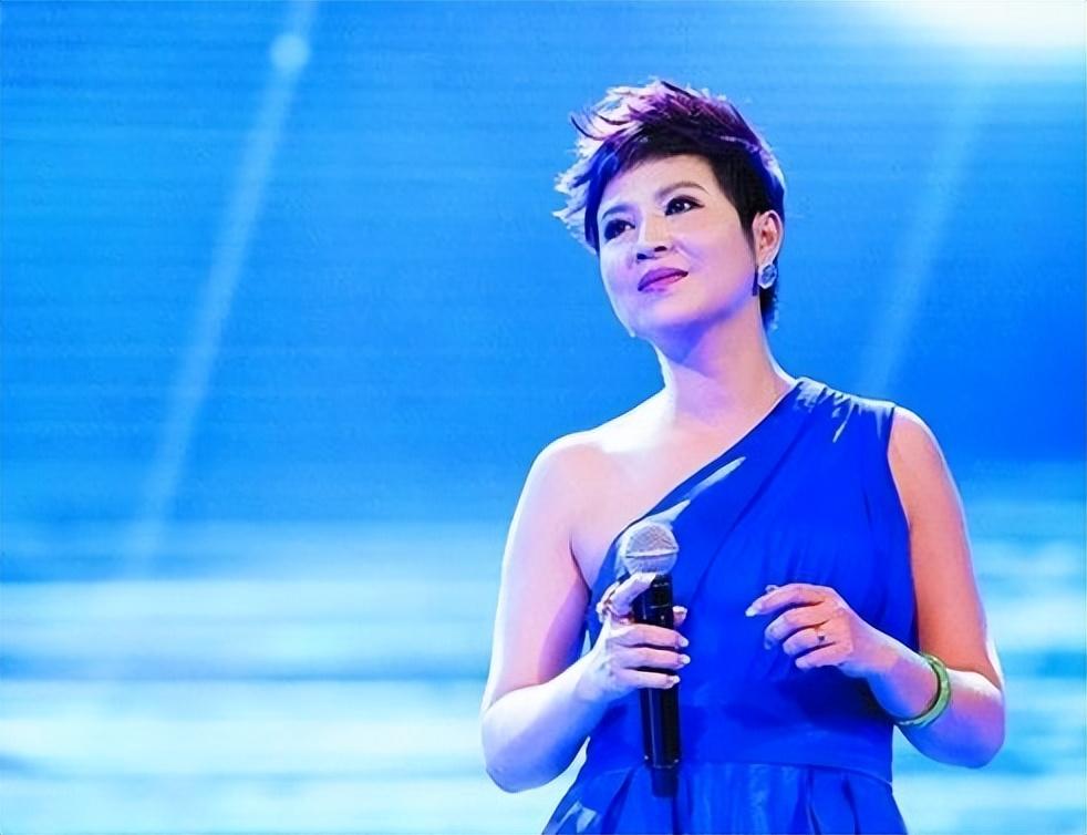 1988年,在全国青年歌手大赛上,杭天琪凭借歌曲《黄土高坡》走红
