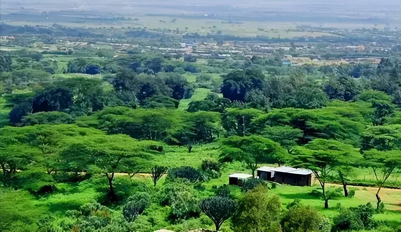 回顾52岁大叔跑去非洲闯荡两年定居肯尼亚连娶三任美娇妻