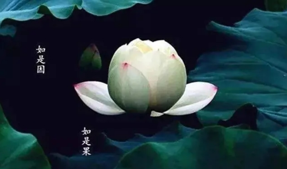 回顾六旬老汉惨死家中祖传玉佛神秘丢失嫌犯竟是个还俗和尚