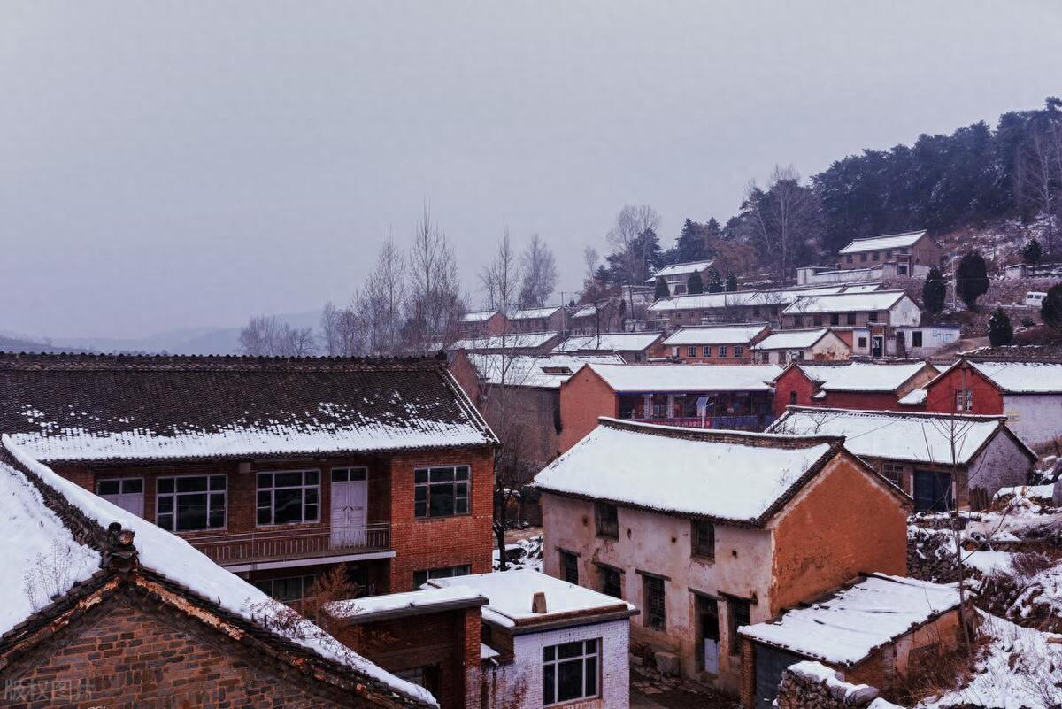 姐姐生孩子过继给弟弟只是为了满足爸爸三代单传的孙子愿望