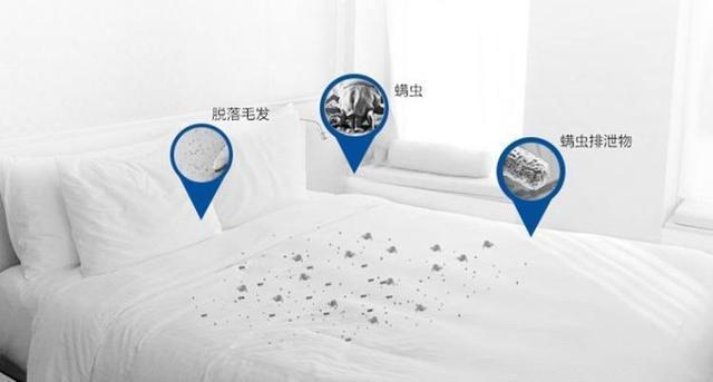 床上"螨虫成堆"?教你个笨法子:屋中放点它,螨虫"跑光光"