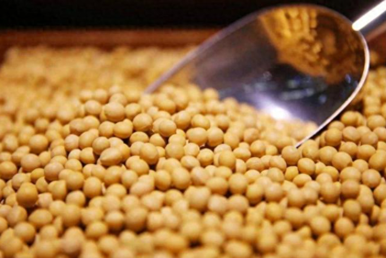 把俄美大豆进行对比,才彻底明白,为何80%的进口大豆源于美国!