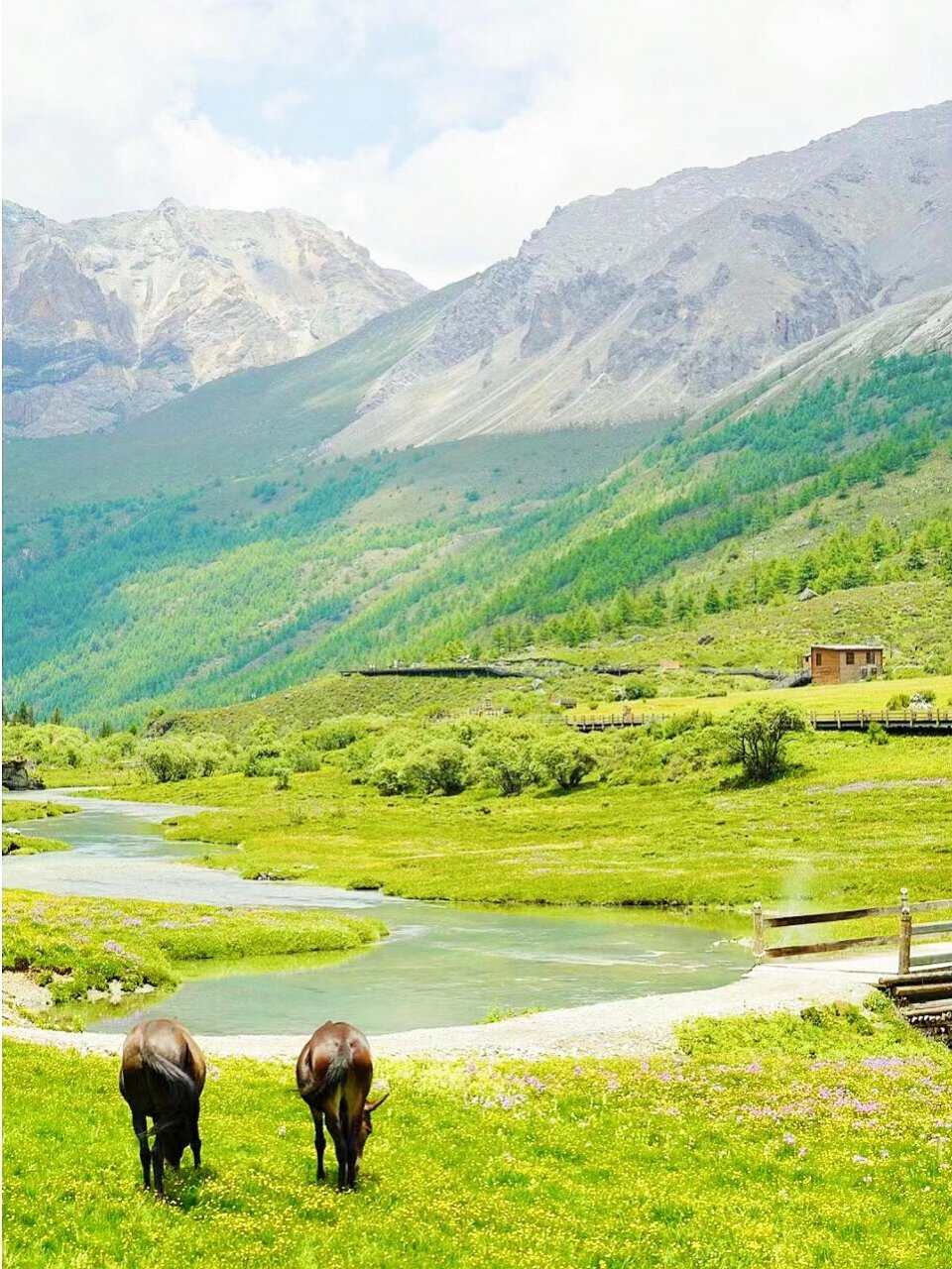 洛绒牛场是必游景点,可徒步至五色湖和牛奶湖.