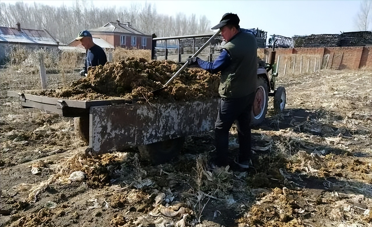 回顾安徽光棍兄弟养弃婴给拖拉机装土赚奶粉钱多年后女婴成教师