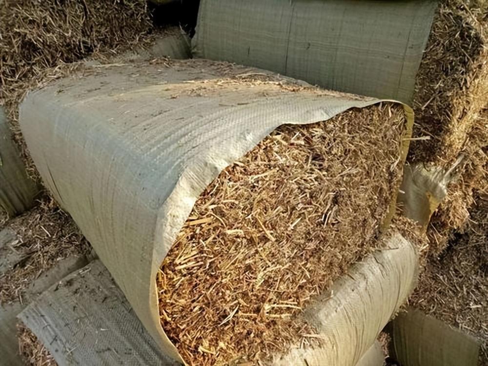 花生秧收购,成本400元卖1200元,两个月收几十万!