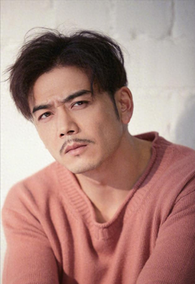 回顾杨烁顶风索要天价片酬油腻耍大牌还与刘涛传绯闻