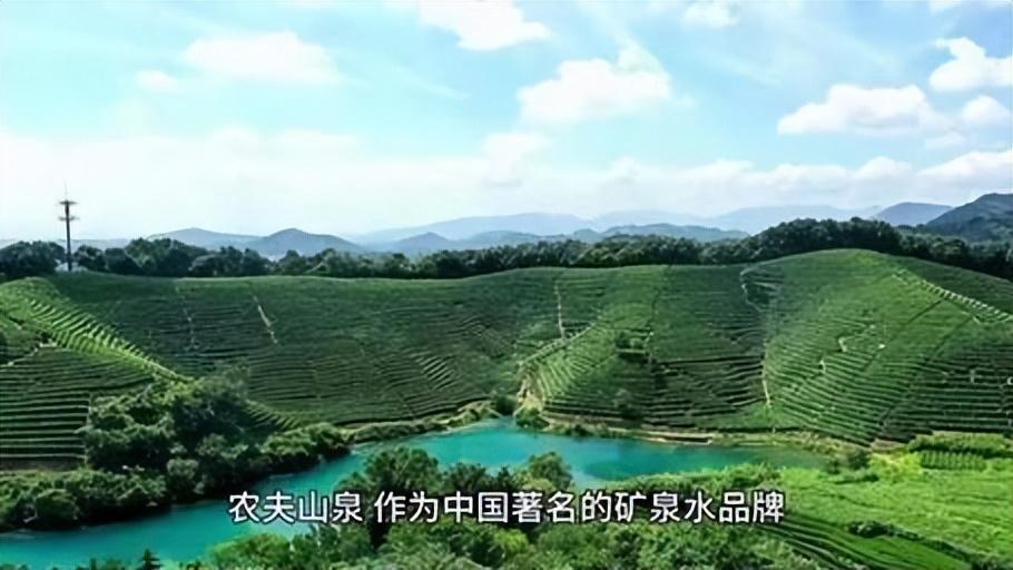 回顾农夫山泉事件李国庆湿鞋了他究竟干了什么呢