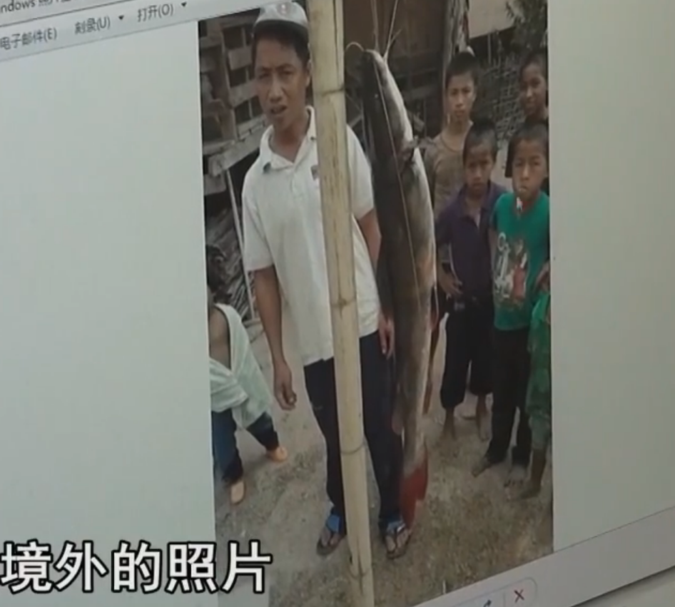 14年两男子拉着22只狗崽现身云南边境警方一查牢底坐穿