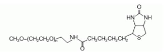 mpeg-biotin可以应用于生物分子标记,聚乙二醇单甲醚生物素