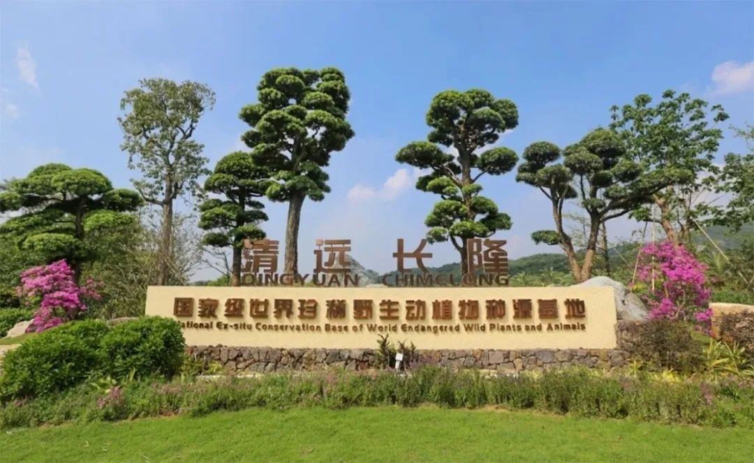 春游去哪儿玩不如去清远清远旅游必去景点推荐